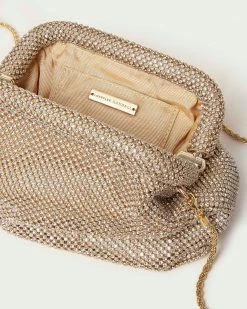 Loeffler Randall Doreen Gold Diamanté Frame Pouch